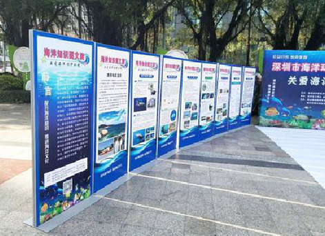 崇义KT板的种类和知识。